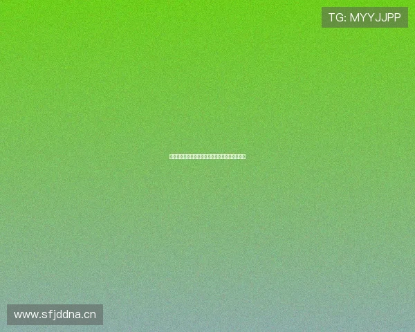 懂球帝在线全面解析最新赛程与球员数据动态报告